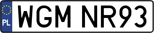 WGMNR93