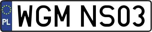 WGMNS03