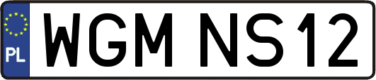 WGMNS12