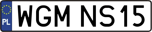 WGMNS15