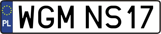 WGMNS17