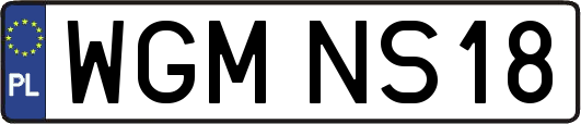 WGMNS18