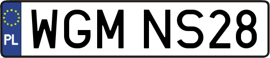 WGMNS28