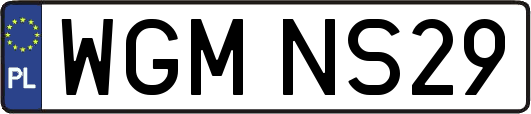 WGMNS29