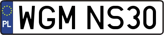 WGMNS30