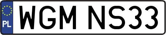 WGMNS33