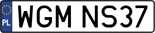 WGMNS37