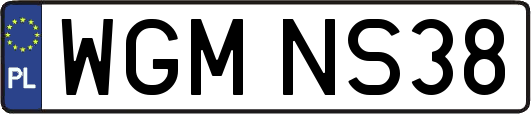 WGMNS38