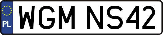 WGMNS42