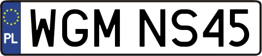 WGMNS45
