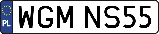 WGMNS55