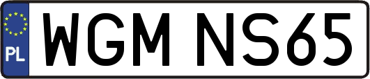 WGMNS65