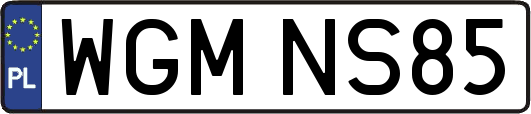 WGMNS85
