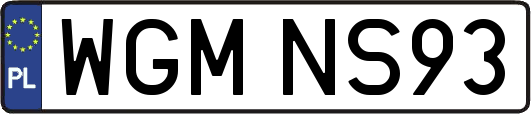 WGMNS93