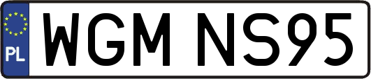 WGMNS95