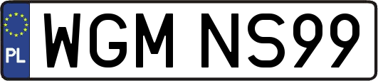 WGMNS99