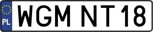WGMNT18