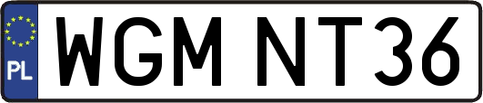 WGMNT36