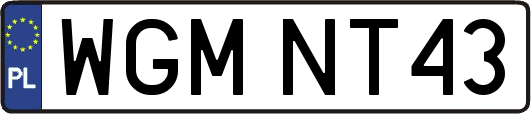 WGMNT43