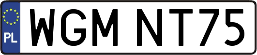 WGMNT75