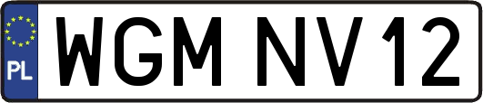 WGMNV12