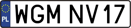 WGMNV17