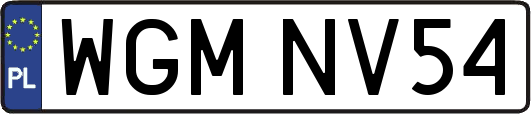 WGMNV54