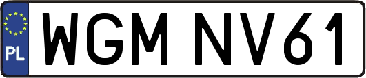WGMNV61