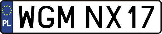 WGMNX17