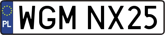 WGMNX25