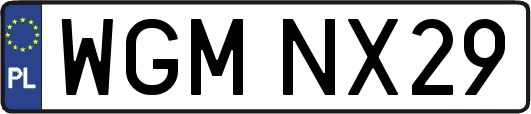 WGMNX29