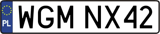 WGMNX42