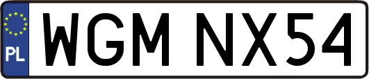 WGMNX54