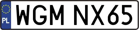 WGMNX65