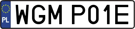 WGMP01E