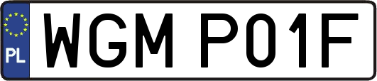 WGMP01F