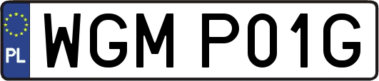 WGMP01G