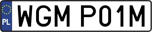 WGMP01M