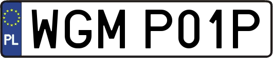 WGMP01P