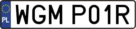 WGMP01R