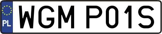 WGMP01S