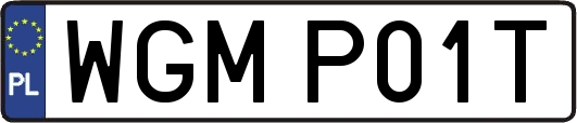 WGMP01T
