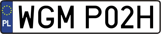 WGMP02H