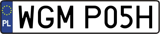 WGMP05H