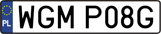 WGMP08G