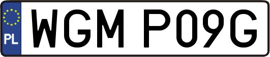 WGMP09G