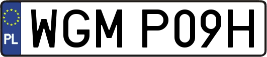 WGMP09H