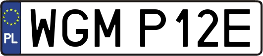 WGMP12E