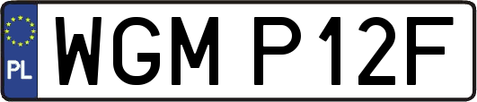 WGMP12F