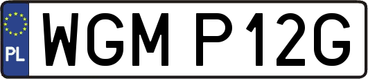 WGMP12G